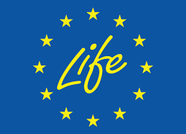 LIFE Programme – 2025 Priorities